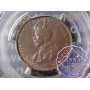Australia 1926 Halfpenny PCGS MS64BN