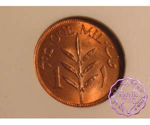Palestine1944 British Mandate Mil ANACS MS63RD