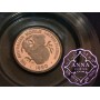 Australia 1989 - 1993 Koala 1/20 oz Platinum Proof Coin X5