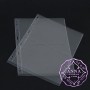 PCCB 2 Pockets Transparent Stamp Banknote Album Insert Page Sheets
