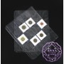 PCCB 20 Pockets Transparent Coin Album Insert Page Sheets